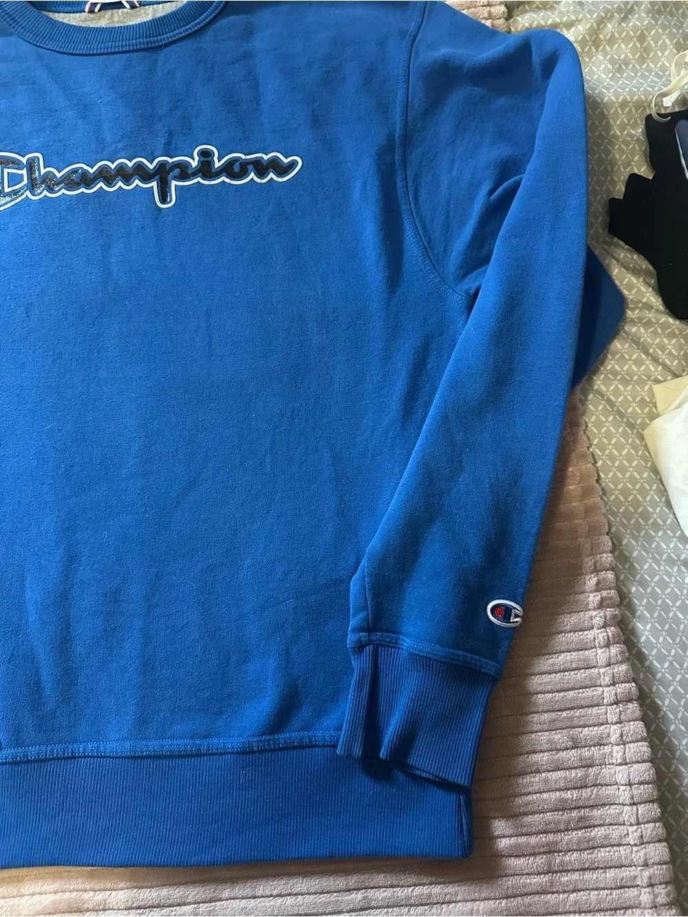 Champion Men's Crewneck Sweatshirt
